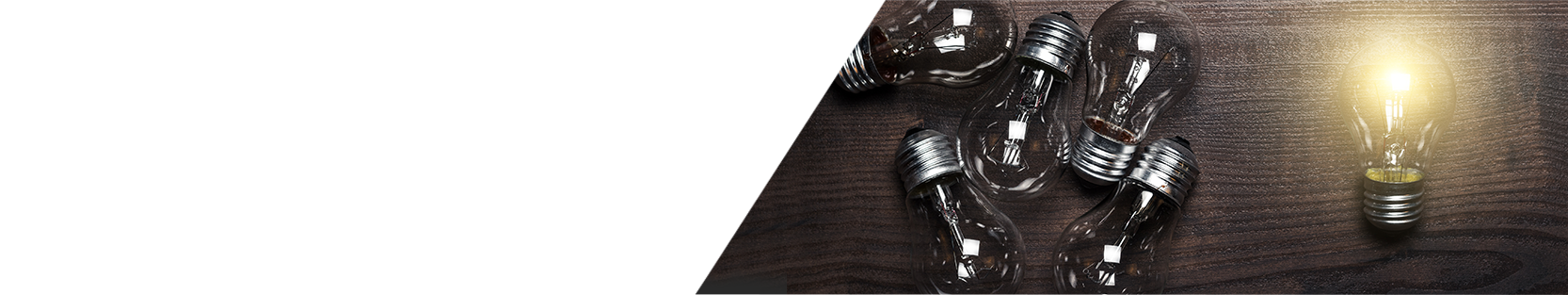 WE TAKE THE BRIEF & SELECT THE RIGHT  SPECIALISTS  FOR YOUR PROJECT.